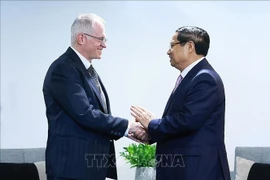 Vietnamese Prime Minister Pham Minh Chinh (R) and Neil Pollock, Vice President of the South African Chamber of Commerce and Industry, in Johannesburg on November 21. (Photo: VNA)