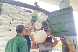 Relief rice is transported to localities heavily affected by recent flooding. (Photo: VNA)