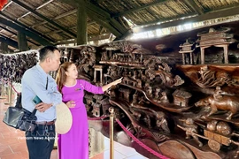 Visitors admire a large driftwood sculpture measuring nearly 25 metres in length and weighing around 20 tonnes, regarded as one of the most intricate works of its kind in Vietnam. (Photo: VNA)