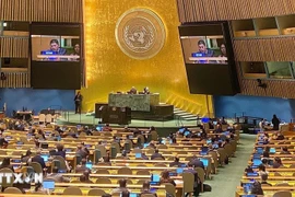 A Vietnamese representative speaks at an event adopting the Hanoi Convention on December 24, 2024 (Photo: VNA)