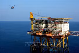 A plane transports workers to the oil rig of Vietsovpetro Joint Venture. (Illustration photo: VNA)