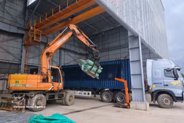 Machinery has been integrated into cargo handling lines, helping reduce labour requirements and improve import-export efficiency. (Photo: VNA) 