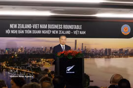 General Secretary of the Communist Party of Vietnam Central Committee and President To Lam speaks at the New Zealand–Vietnam Business Roundtable in Auckland on August 13. (Photo: VNA)