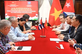 At the working session between delegations of Vietnam's Authority of Publication, Printing and Distribution and Cuban Book Institute in Havana during the former's working visit to Cuba from February 9 to 21. (Photo: VNA)