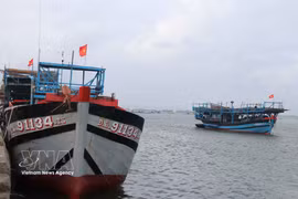 All fishing vessels in Da Nang have now been identified, marked and recorded in the national database, meeting EC requirements. (Photo: VNA)
