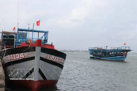 All fishing vessels in Da Nang have now been identified, marked and recorded in the national database, meeting EC requirements. (Photo: VNA)