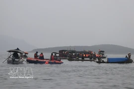 The rescue forces are searching for the missing (Photo: VNA)