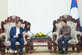 Vinachem Chairman Phung Quang Hiep (R) and Lao Deputy Prime Minister Saleumxay Kommasith (Photo: VNA)