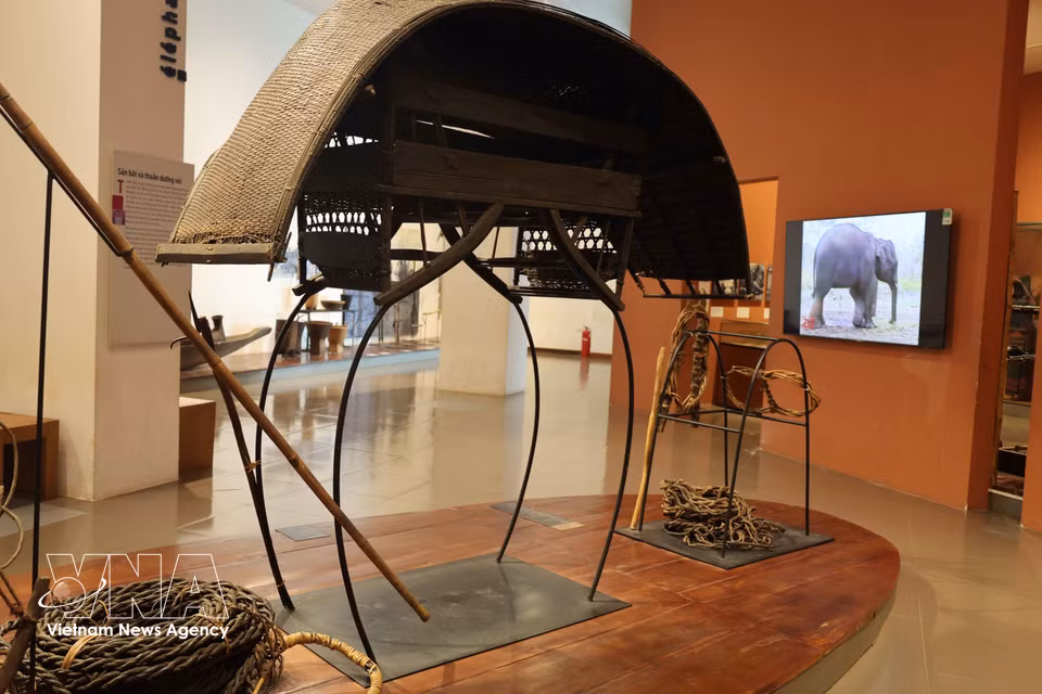 A model of an elephant howdah and traditional elephant-hunting tools used by the Ede people. (Photo: VNA)