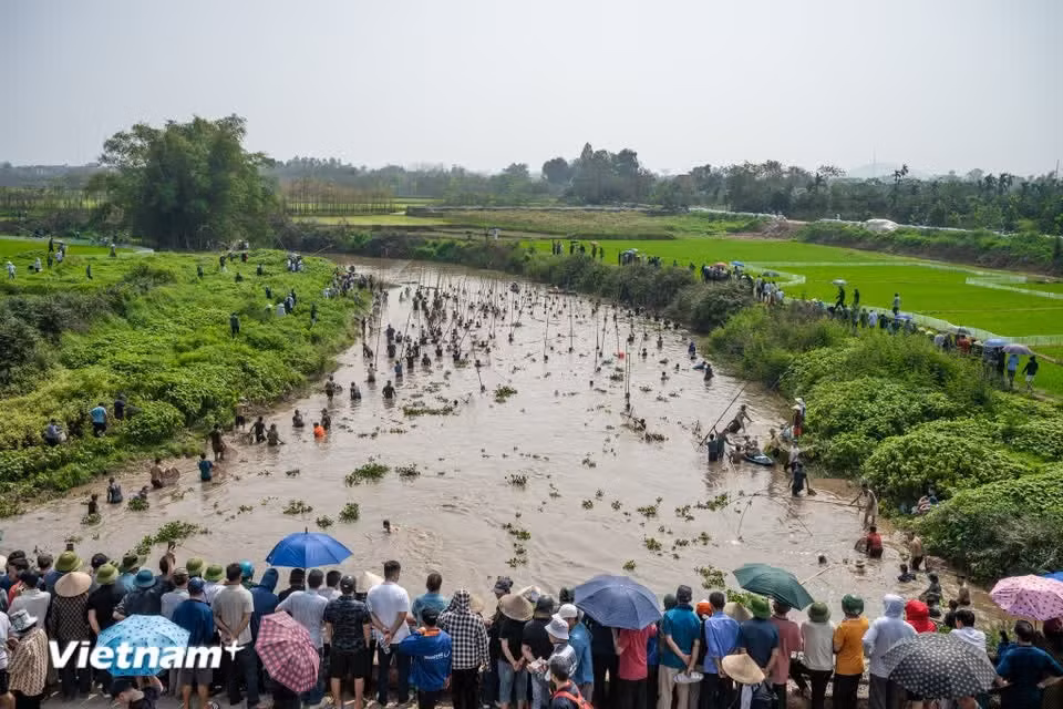 The sharp sounds of bamboo poles striking the water, combined with lively calls and cheers, create a vivid picture of rural life along the river. (Photo: VietnamPlus)