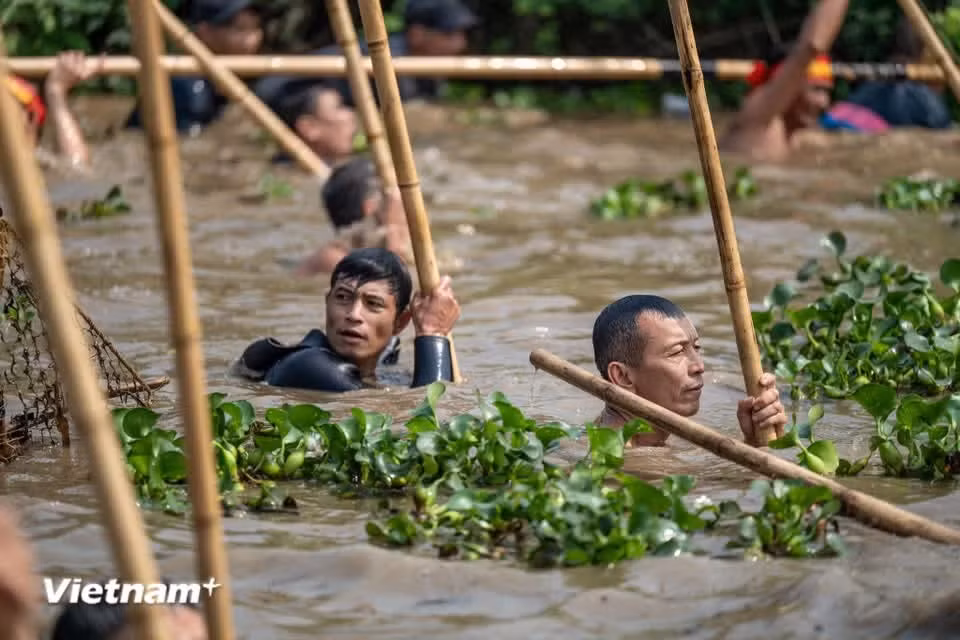 The festival highlights the distinctive cultural identity of Xu Doai, a historical-cultural region known for its unique village traditions and social organisation in Phuc Tho. (Photo: VietnamPlus)