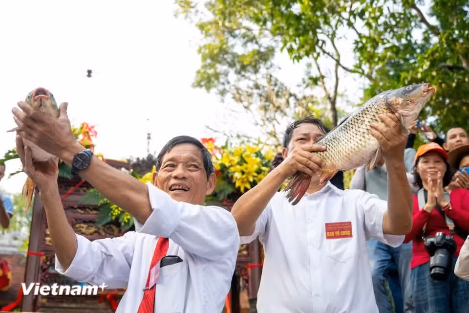 In the ceremonial offering, the biggest fish is carefully selected and presented at the altar as a symbol of gratitude and prayers for peace, prosperity and a bountiful season, reflecting the deep connection between river-based livelihoods and spiritual beliefs. (Photo: VietnamPlus)