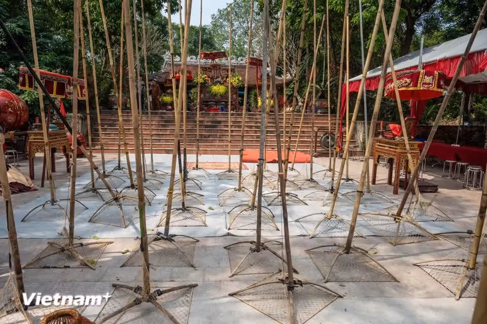 Although “dap sao” typically peaks during the low-water season from late autumn to early winter, in Tuong Phieu, the fish-catching ritual has been incorporated into the spring festival programme. (Photo: VietnamPlus)