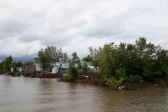 An eroded coastline section in Dat Mui commune, Ngoc Hien district, the southernmost province of Ca Mau. (Photo: VNA)