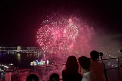 Tourists watch a fireworks display in Da Nang city (Photo: VNA)