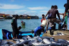 Indonesia teams up with 10 countries to combat illegal fishing