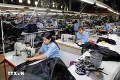 Chinese media also highlighted Vietnam’s proactive efforts in industrial upgrade and transformation, focusing on switching from traditional labour-intensive to technology-driven industries. (Photo: VNA)