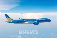 A Vietnam Airlines airplane (Photo: VNA)