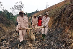 The over 220 kg bomb is carried to a secure storage area in the central province of Quang Binh for safe detonation. (Photo: VNA)