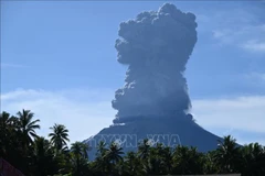 Ash column erupts from Mount Ibu in north Maluku, Indonesia, on May 13, 2024. (File Photo: AFP/VNA)