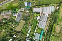Vietnam’s farm tourism blooms, blending rustic charm with flowery dreams