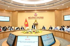 Minister of Industry and Trade Nguyen Hong Dien speaks at the January 2 conference regarding the development of science and technology human resources in service of Vietnam's nuclear power programme. (Photo: VNA)