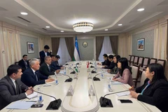 At the meeting between Vietnamese Deputy Minister of Foreign Affairs Le Thi Thu Hang and First Deputy Chairman of the Uzbek Senate S. Safoev. (Photo: Vietnam Ministry of Foreign Affairs)