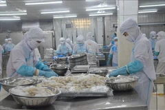 Workers process seafood for export in Ba Ria-Vung Tau province. (Photo: VNA)