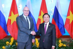 Deputy Prime Minister Tran Hong Ha (R) and his visiting Russian counterpart Dmitry Nikolayevich Chernyshenko in Hanoi on January 13. (Photo: VNA)