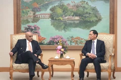 Deputy Prime Minister and Minister of Foreign Affairs Bui Thanh Son (R) and Ali Ijaz Ahmad, Chief Executive Officer of Singapore-based Makara Capital, at their meeting in Hanoi on January 15. (Photo: VNA)