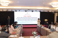 The workshop held by the Ministry of Health’s Department of Legal Affairs in Hanoi on December 25 to provide information about a plan to implement the National Assembly's resolution involving the ban of e-cigarettes and heated tobacco products. (Photo: VNA)