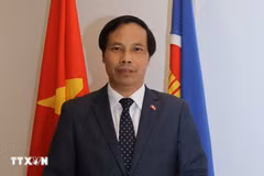 Vietnamese Ambassador to Qatar Nguyen Huy Hiep (Photo: VNA)
