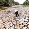 Vietnam is exerting efforts to cope with climate change. (Illustrative photo: VNA)
