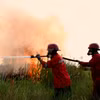 Firefighters work to extinguish a land fire in South Sumatra, Indonesia. (Photo: Xinhua/VNA)