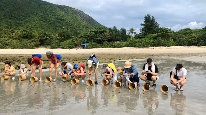 Foreign tourists enjoy participating in the release of baby turtles back into the sea in Con Dao Island, Ho Chi Minh City (Source: sggp.org.vn)
