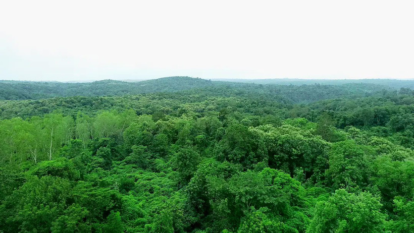 Thailand's five-year “Forests for Life” project will focus on four key landscapes: Doi Inthanon and Omkoi in Chiang Mai, Western Thung Yai Naresuan in Kanchanaburi, and Phanom Dong Rak in Si Sa Ket. (Photo: thailand.prd.go.th)