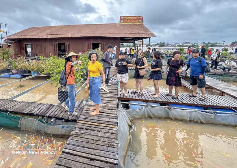 A tour guide leads visitors on a tour of Bay Bon fish farm in Con Son Islet, Can Tho city. (Photo: VNA)