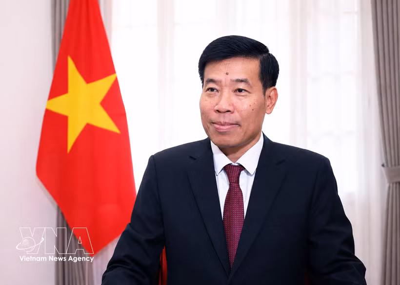 Deputy Minister of Foreign Affairs Nguyen Manh Cuong (Photo: VNA)