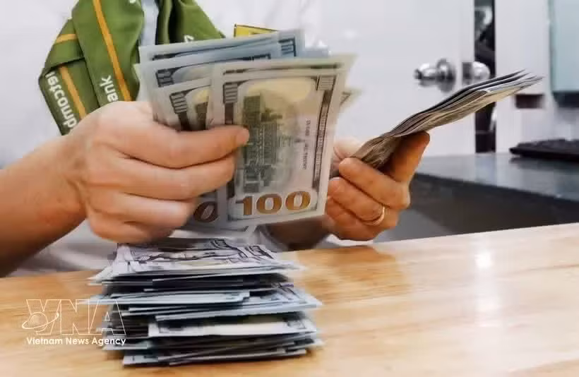 The daily reference exchange rate is set at 25,405 VND/USD on August 5. (Photo: VNA)