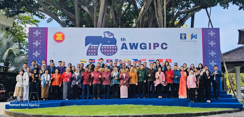 Delegates to the 78th ASEAN Working Group on Intellectual Property Cooperation (AWGIPC) meeting. (Photo: VNA)
