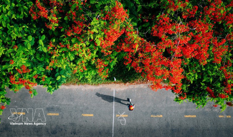 Vietnamese travellers are increasingly opting for short-haul overseas trips and distinctive experiences for the upcoming Reunification Day (April 30) and May Day holiday. (Illustrative photo: VNA)