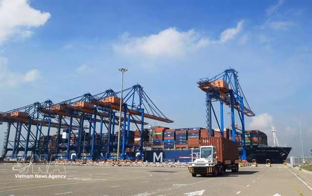 Containers loaded at Cai Mep International Terminal (Photo: VNA)