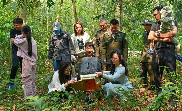 Wild animals are released back into their natural habitat. (Photo: Courtesy of Department of Forestry and Forest Protection)