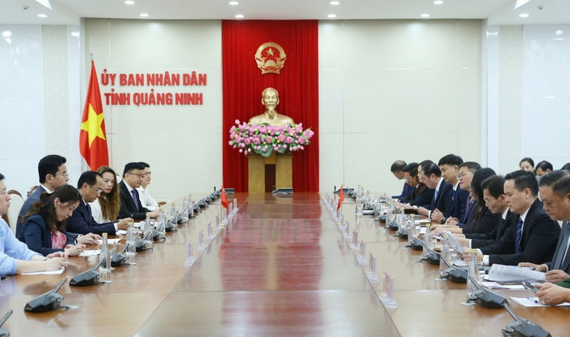 An overview of the working session (Photo: baoquangninh.vn)