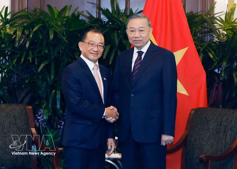General Secretary of the Communist Party of Vietnam Central Committee and State President To Lam (R) meets with Speaker of the Parliament of Singapore Seah Kian Peng. (Photo: VNA)