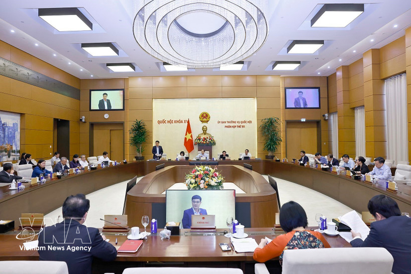 At the meeting (Photo: VNA)