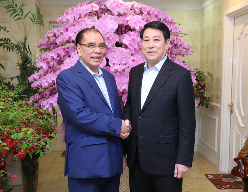 State President Luong Cuong (R) and former Party General Secretary Nong Duc Manh in Hanoi on February 2. (Photo: VNA)