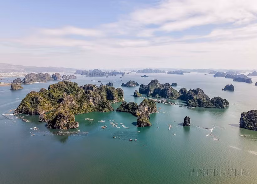Ha Long Bay, located in northeast Vietnam, is beloved for its blue waters and spread of limestone islands - all occupied by tropical trees and wildlife. (Photo: VNA)