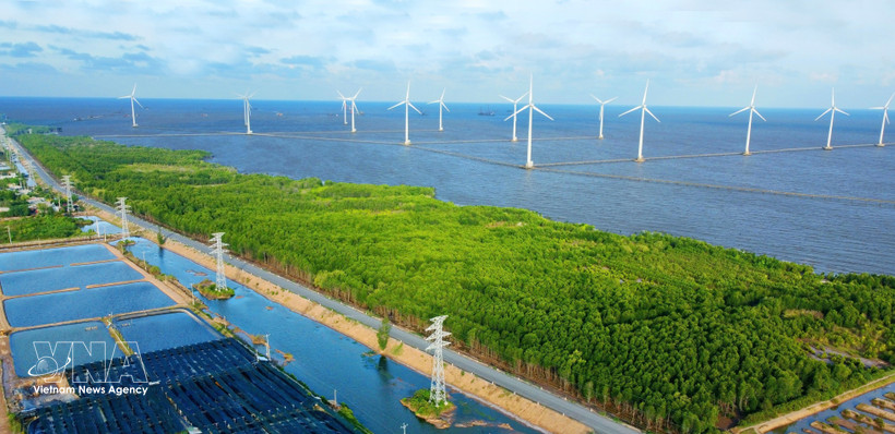Wind turbines in Ca Mau province. (Photo: VNA)