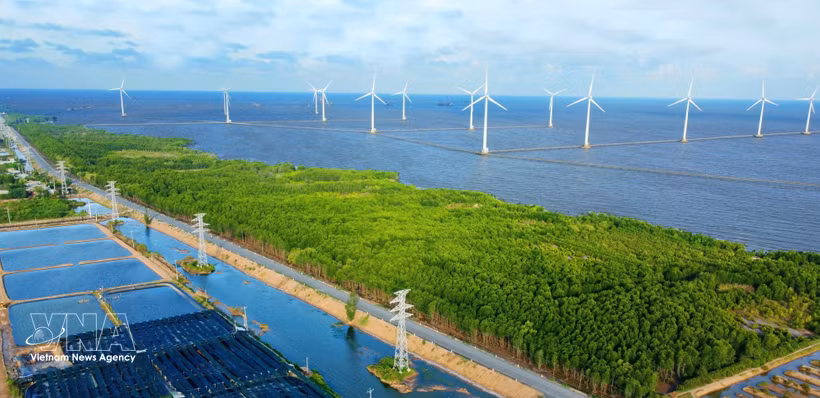 Wind turbines in Ca Mau province. (Photo: VNA)